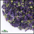 Элегантный Травяной Цветок Чай Сушеные Фиолетовый Цветок Чая На Продажу